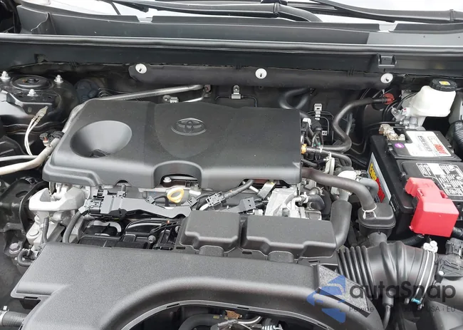 2T3H1RFV0MC164469: 43816194