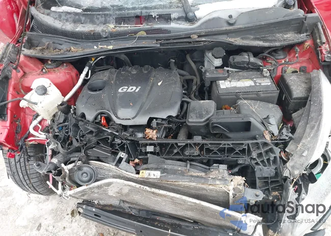 KNDPB3AC9E7547687: 43816473