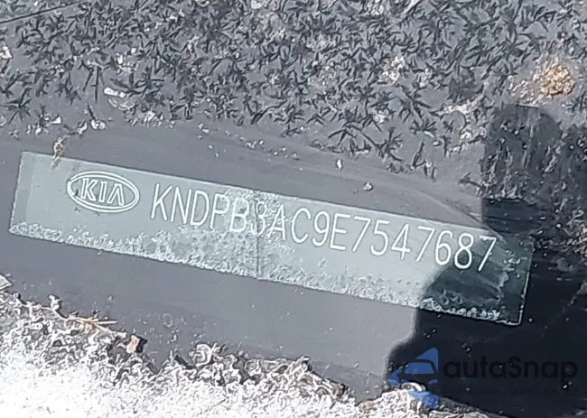 KNDPB3AC9E7547687: 43816473