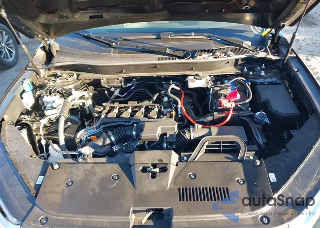 2HKRS4H46TH411121: 43816491