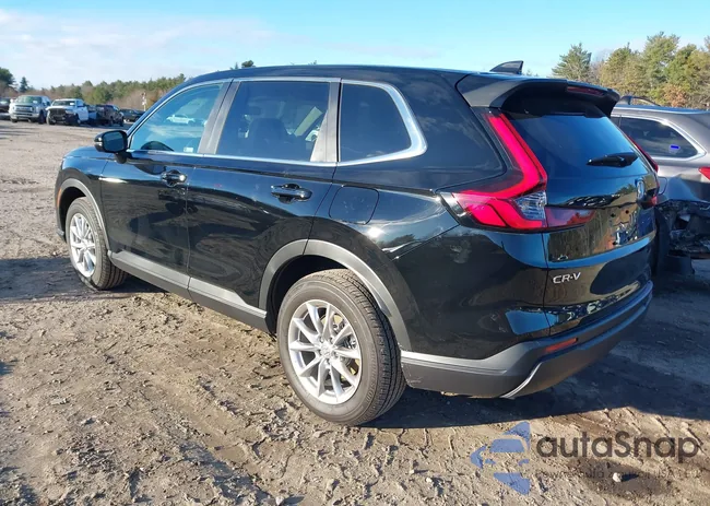 2HKRS4H46TH411121: 43816491