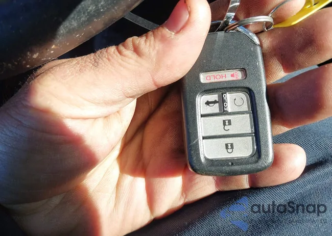 19XFC2F81LE004631: 43816922