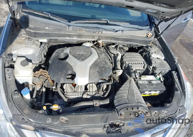 5NPEC4AB4BH290642: 43816952