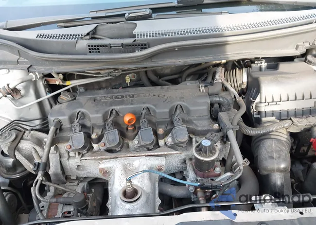 19XFB2F51FE231718: 43817156