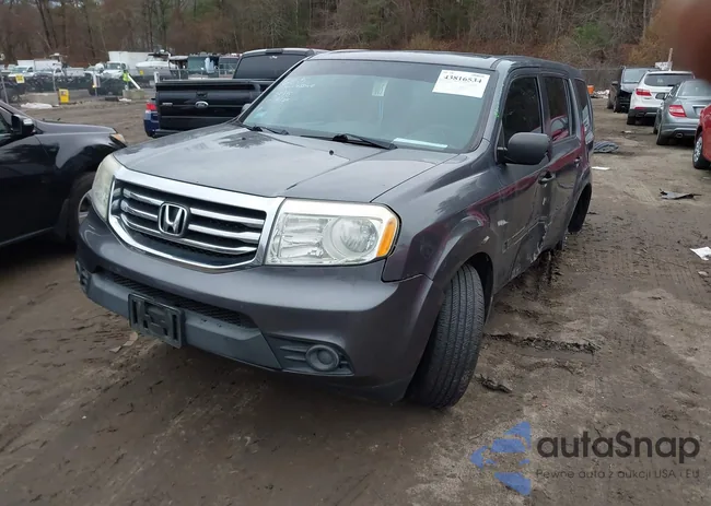 5FNYF4H21FB016619: 43816534