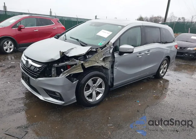 5FNRL6H71JB032431: 43816760