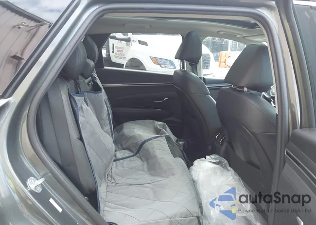 KM8JFCA16PU102137: 43816841