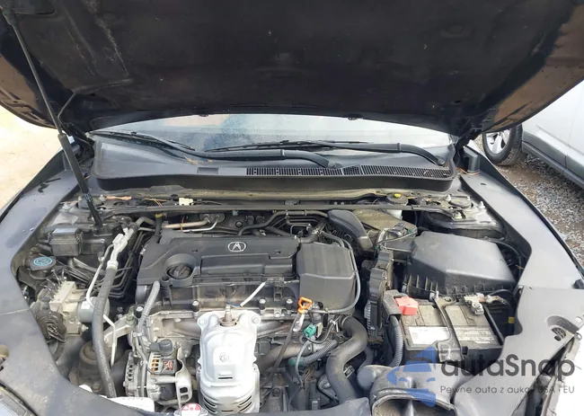 19UUB1F3XJA004072: 43818192