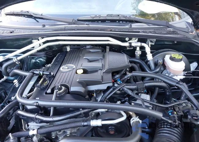 JM1NC25F070125869: 43818488