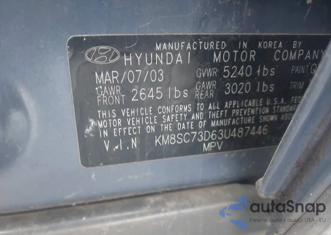 KM8SC73D63U487446: 43819233