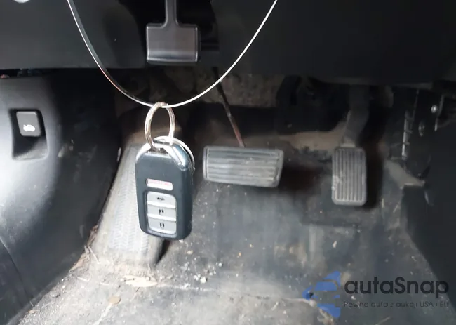 2HGFB2F83FH561229: 43818806