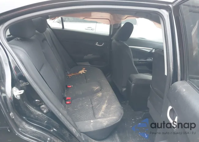 2HGFB2F83FH561229: 43818806