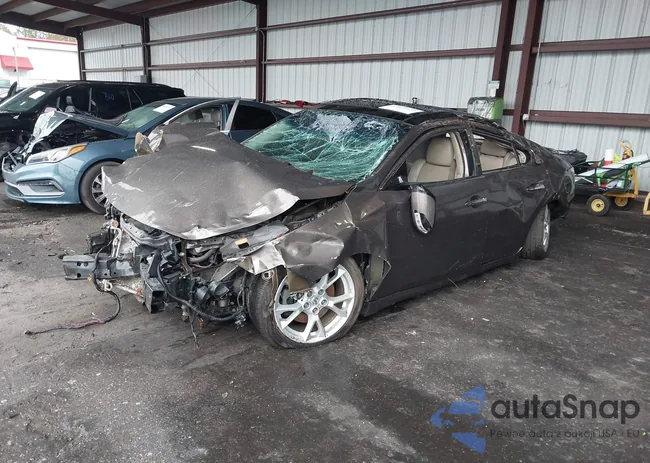 1N4AA5AP5DC811880: 43820139