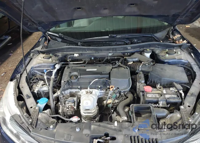 1HGCR2F3XHA090006: 43819663