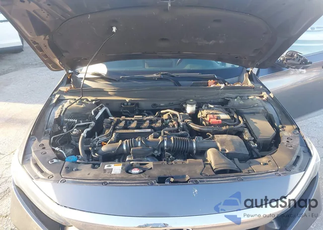 1HGCV1F55KA080207: 43819856