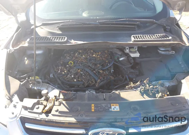 1FMCU0HX0DUB70825: 43821009