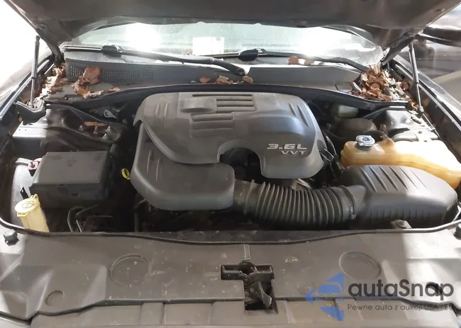 2B3CL3CG5BH518443: 43821306