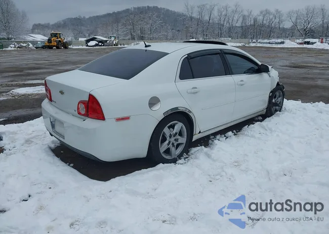 1G1ZH57B594260459: 43820756