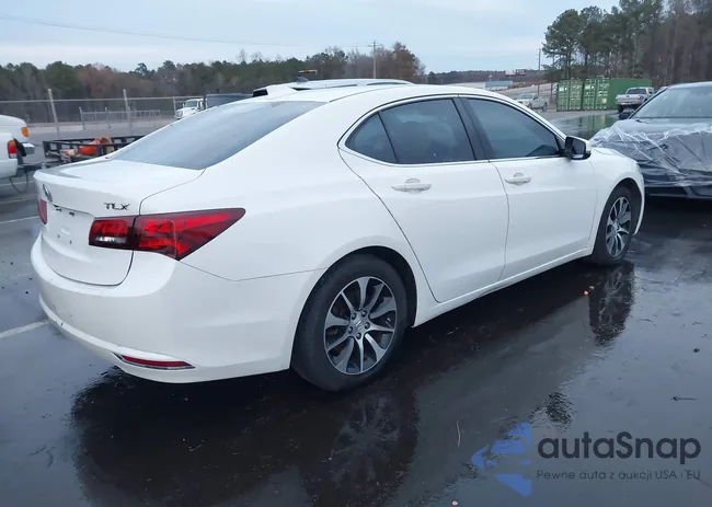 19UUB1F30FA008090: 43820767