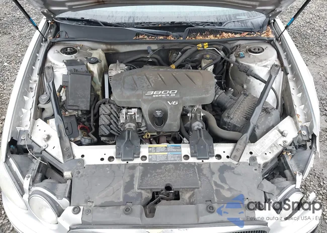 2G4WD532851210121: 43821946