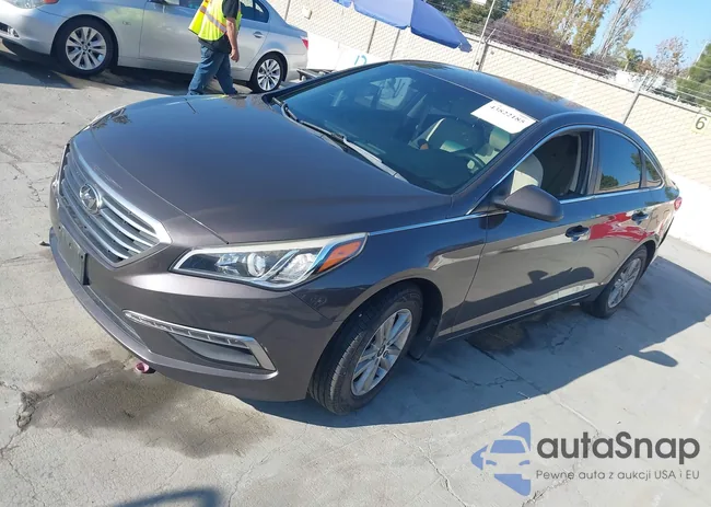 5NPE24AF5FH146268: 43822185