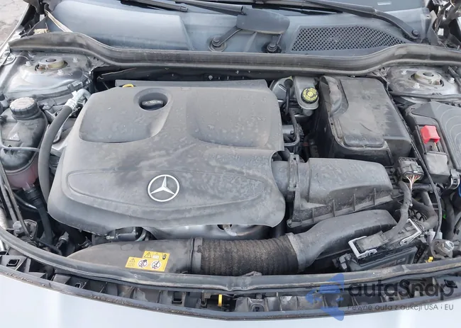 WDDSJ4EB7KN771204: 43822221