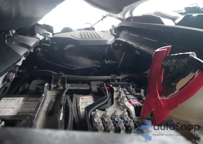 3GNKBERS5LS537259: 43823217