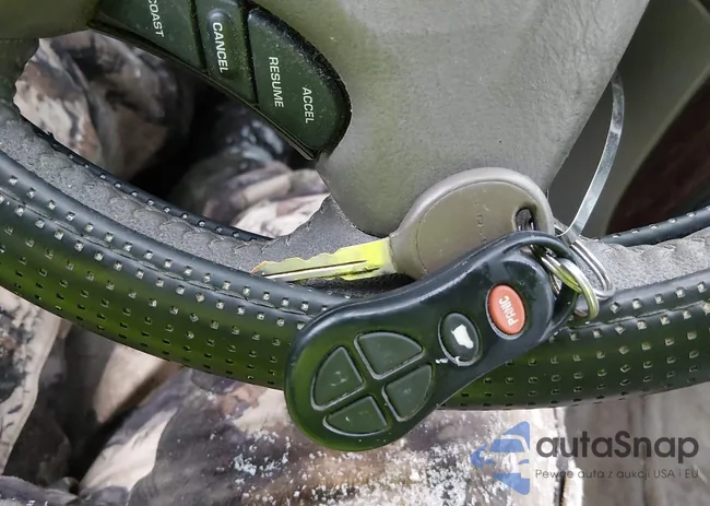 2C8GP74L83R125960: 43824093