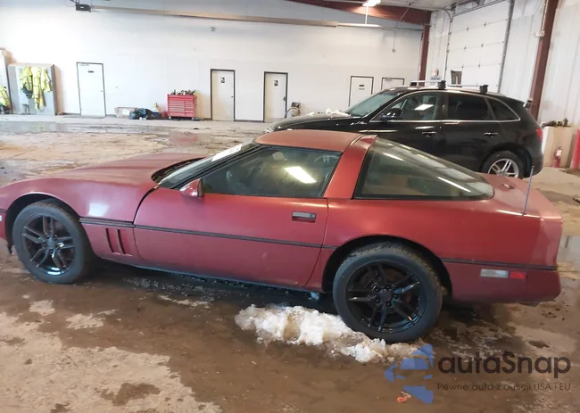 1G1YY2180K5121556: 43824424