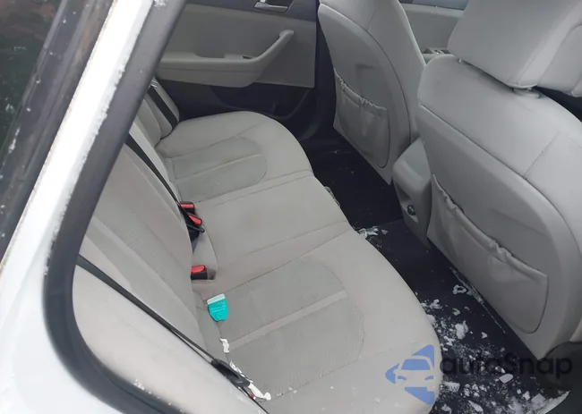 5NPE24AFXHH562061: 43825303