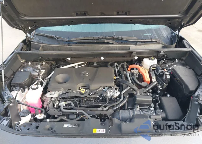 2T3E6RFV5RW064944: 43824865