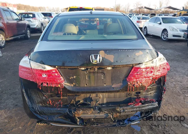 1HGCR3F8XEA031339: 43824885