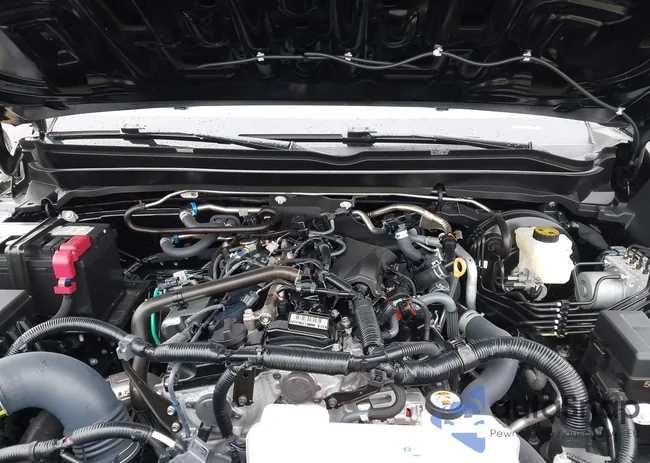 3TYLD5KNXSC015391: 43826378