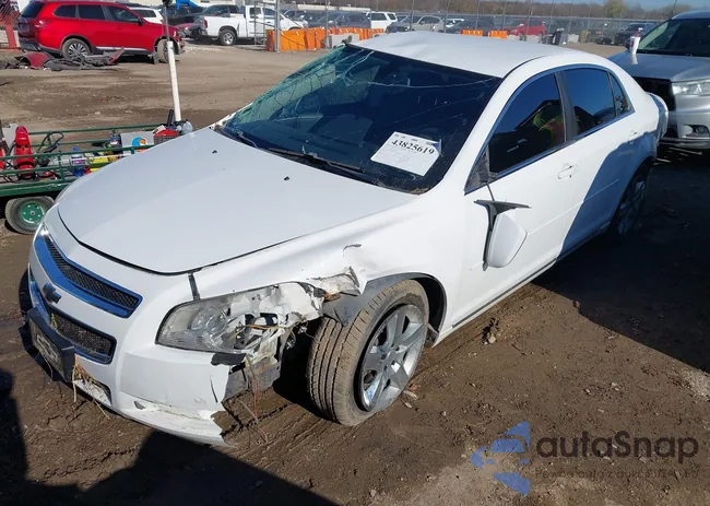 1G1ZC5EB0AF325244: 43825619