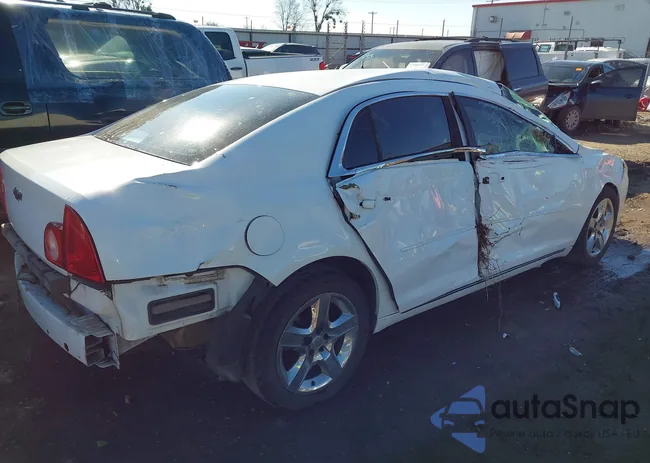 1G1ZC5EB0AF325244: 43825619