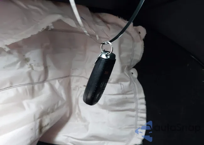 2C3CDXCT4KH508166: 43825665