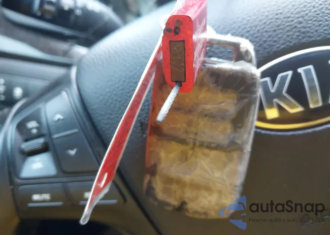 KNALN4D76E5159271: 43826674