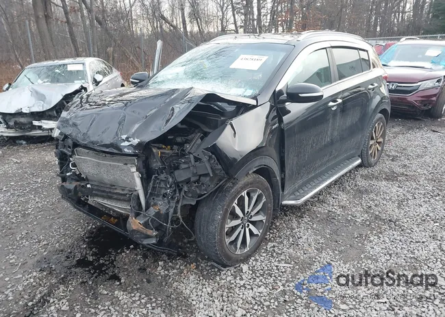 KNDPNCAC8H7261499: 43828189