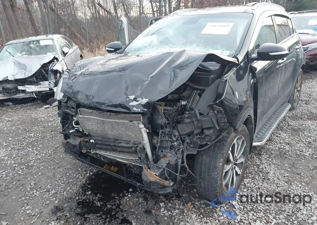 KNDPNCAC8H7261499: 43828189