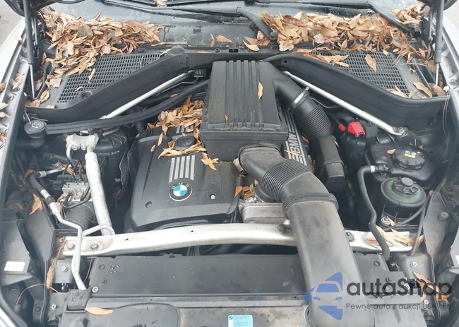 5UXFE4C52AL384923: 43828295