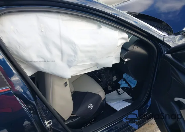 JM1BPALM8P1616042: 43828348