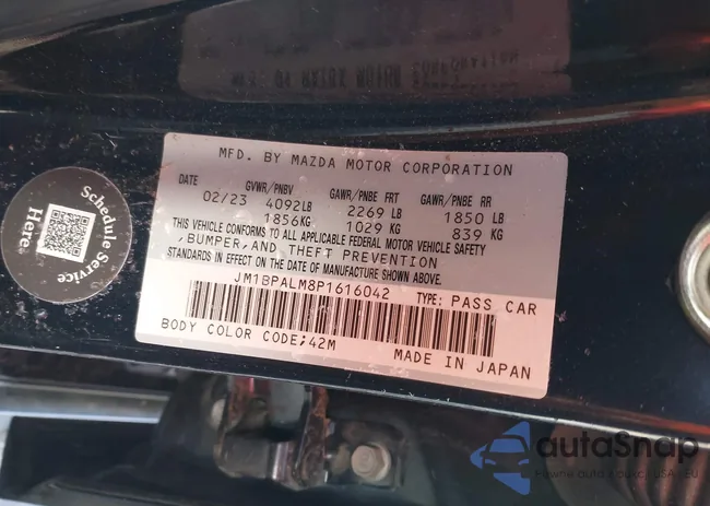 JM1BPALM8P1616042: 43828348