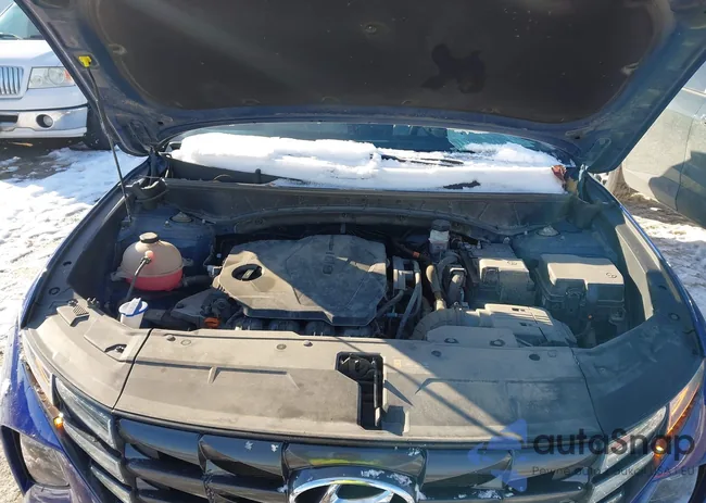 5NMJFCAE9PH201937: 43828954