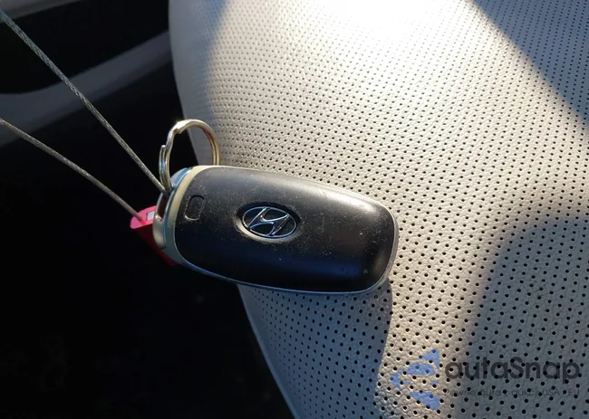 5NMJFCAE9PH201937: 43828954