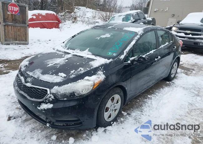 KNAFK4A6XF5411056: 43829050