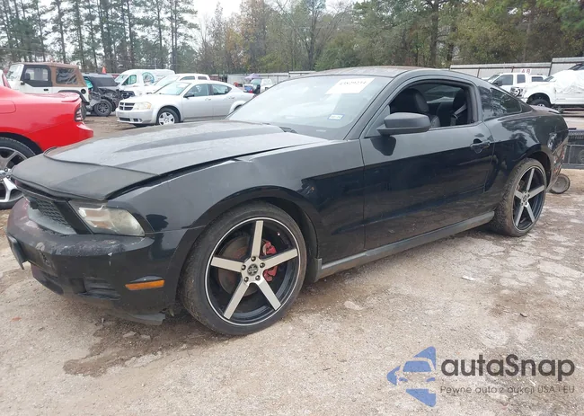 1ZVBP8AM8B5161493: 43829234