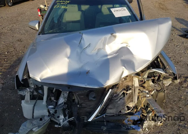 4T1BF1FK2DU703924: 43829238