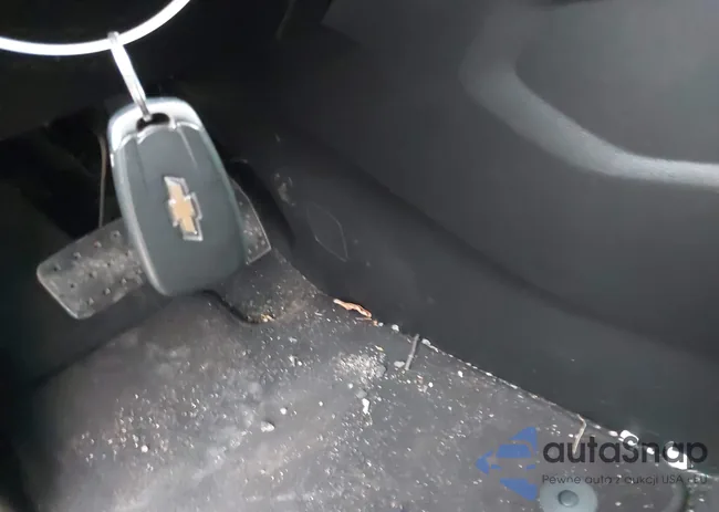 1GNERFKW2KJ101657: 43829302