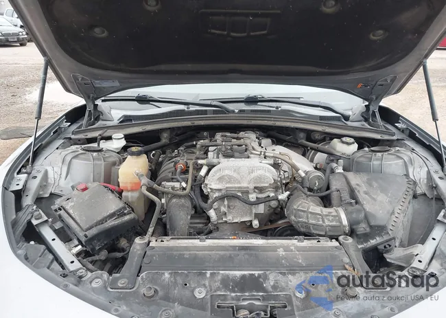 1G1FB1RX1K0122341: 43829355