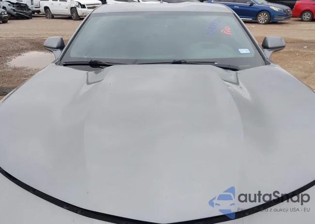 1G1FB1RX1K0122341: 43829355